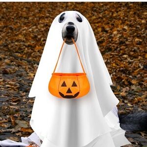 Halloween Ghost Dog Costume with Pumpkin Bag
